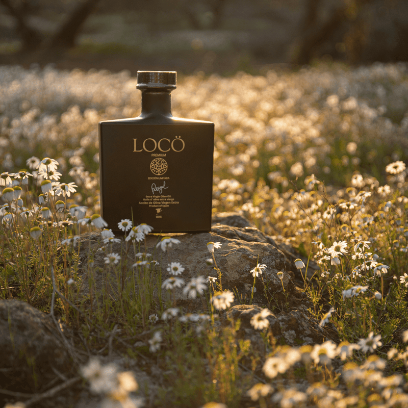 aove premium loco royal 